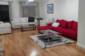 Beautiful 3 BR apartment in Maadi